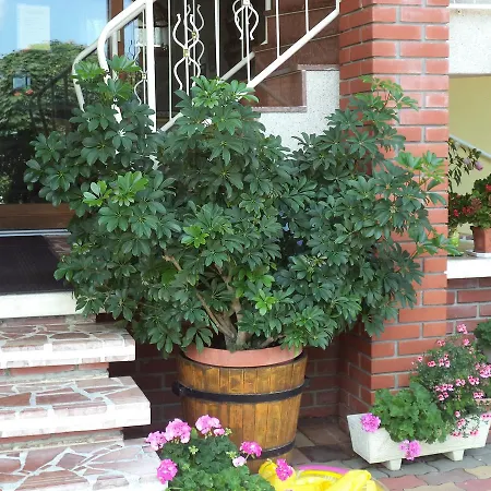 Holp 4* Balatonföldvár