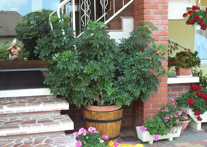 Holp Vendeghaz 4* Balatonföldvár