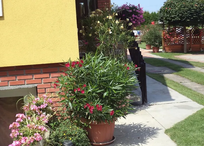 Konukevi Holp Vendeghaz Balatonföldvár